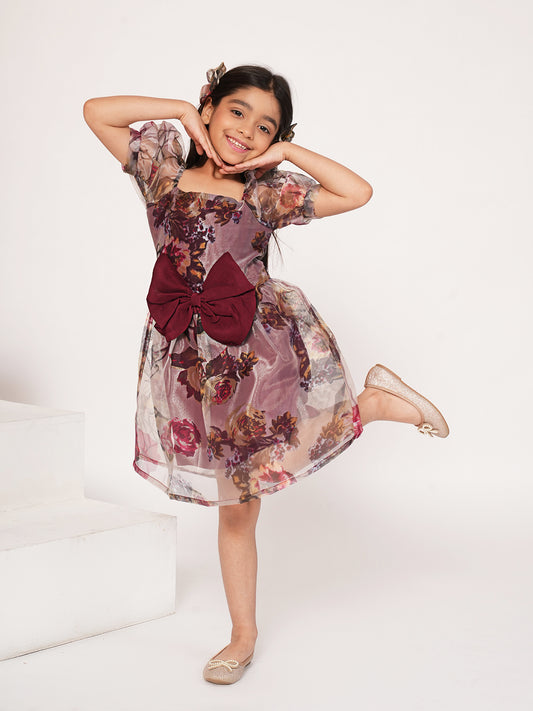 Wine floral printed organza dress