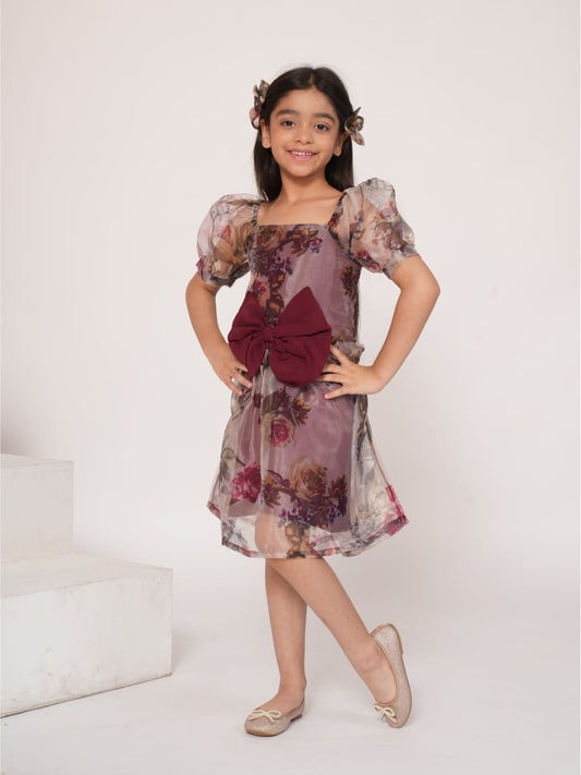 Wine floral printed organza dress