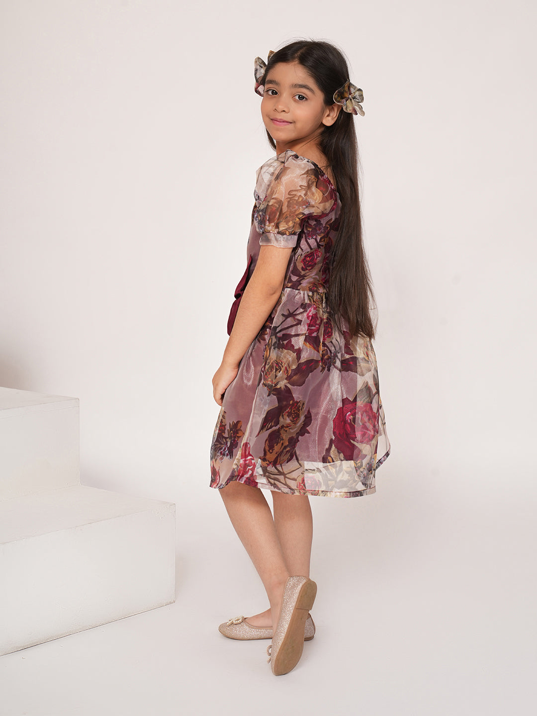Wine floral printed organza dress